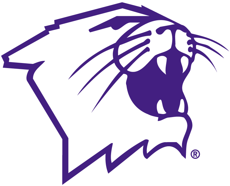 Northwestern Wildcats 1981-Pres Partial Logo iron on transfers for fabric